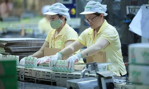 Chủ thương hiệu sữa đậu nành Vinasoy lãi gần 1.000 tỷ đồng, sắp chi hơn 367 tỷ đồng cổ tức