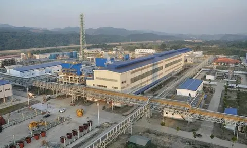 Vimico lãi hơn 2.400 tỷ đồng sau nửa năm, tài sản vượt 12.300 tỷ đồng
