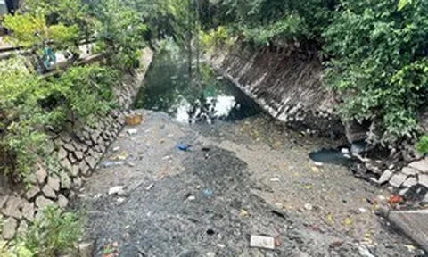 Mắc kẹt trong dòng "nước đen": Người dân khu Tây Tp.HCM mòn mỏi chờ giải pháp căn cơ