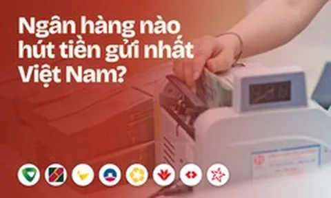 Những ngân hàng nào hút tiền gửi nhất Việt Nam hiện nay?