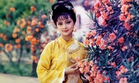 Con đường thành đại gia trăm triệu USD của mỹ nhân 'Hồng lâu mộng'