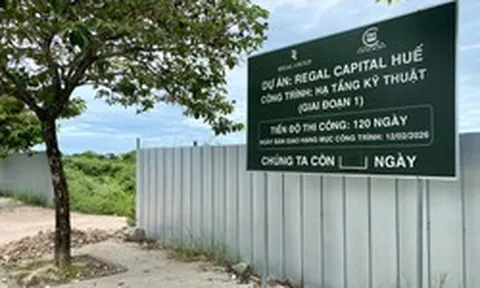 Dự án khu dân cư 700 tỷ đồng dang dở sau quyết định thu hồi đất