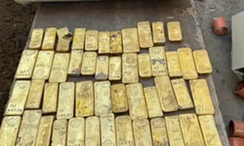 Đi làm thêm, một sinh viên 18 tuổi phát hiện loạt thỏi vàng và đồng xu trị giá 284 tỷ đồng