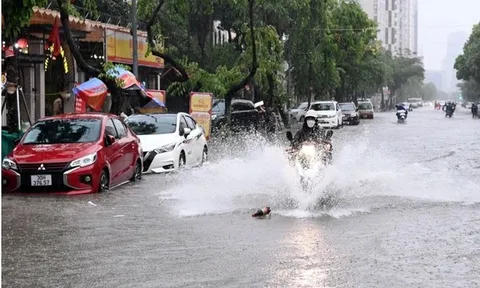 Dự báo thời tiết 15/8/2026: Miền Bắc lại hứng mưa to như trút nước, cảnh báo thời tiết nguy hiểm