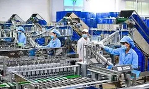 Nâng cao năng lực tiếp cận và hấp thụ vốn