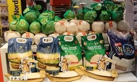 Gạo ST25 vào hệ thống siêu thị bán buôn tại Đức