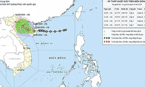 Áp thấp nhiệt đới áp sát vịnh Bắc Bộ, có khả năng mạnh lên thành bão số 4