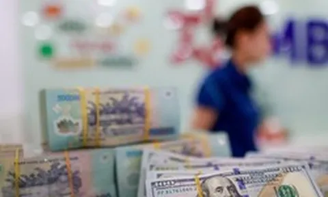 Lãi suất ngân hàng 20/8 tại MB, Sacombank, HDBank, Agribank, Vietcombank, BIDV, VietinBank,...