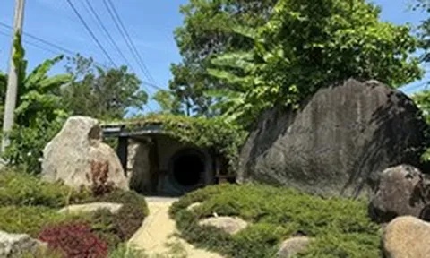 Nhà trong hang của ông Đặng Lê Nguyên Vũ