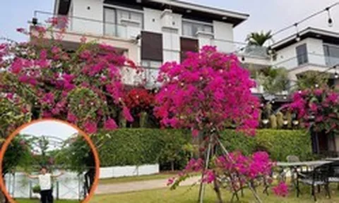 Biệt thự triệu đô của Cao Thái Sơn, thứ quý giá nhất không nằm trong nhà