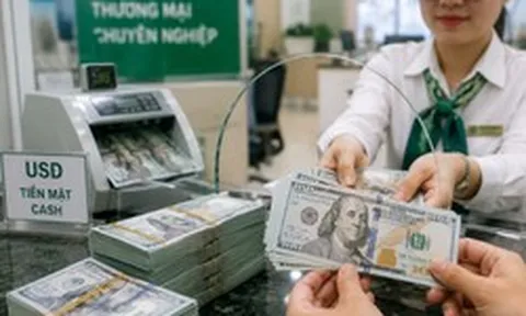 Tỷ giá USD 25/8 tại Vietcombank, VietinBank, BIDV, MB, Techcombank, ACB, Eximbank, Sacombank
