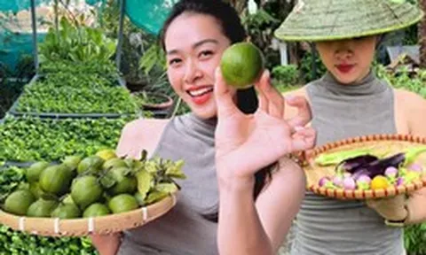 Khu vườn ngập trái cây trong căn nhà phố rộng 100m2 của Diệp Bảo Ngọc