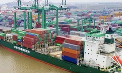 Một Phó Tổng Giám đốc của Viconship không mua cổ phiếu VSC như đăng ký