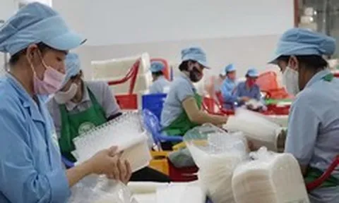 Hướng dẫn thực hiện tạm nộp thuế thu nhập cá nhân trong thời gian chờ sửa đổi quy định về phương pháp tính thuế