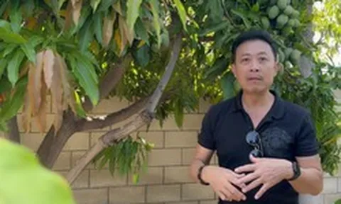 Thành quả của Vân Sơn tại Mỹ sau khi phá sản