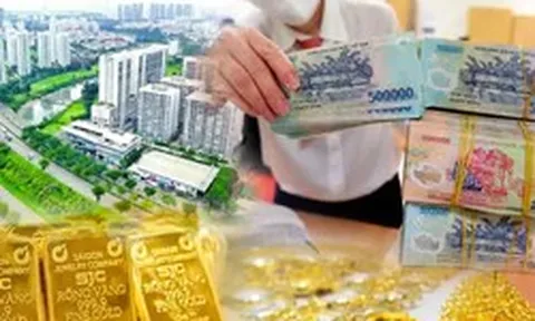 Có tiền nhàn rỗi nên đầu tư gì lúc này?