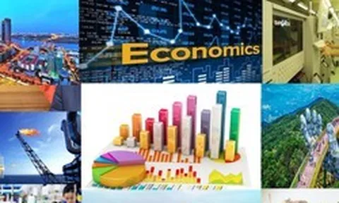 Tình hình kinh tế - xã hội 8 tháng đầu năm 2026