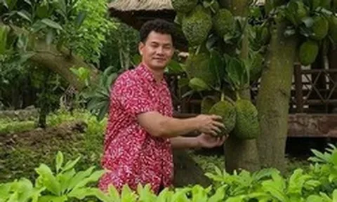 Vườn nhà nghìn mét vuông của NSND Xuân Bắc