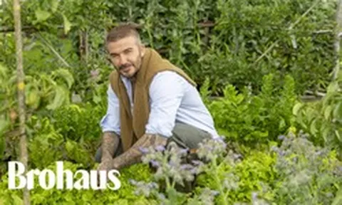 Khu vườn trồng rau nuôi gà 350 tỷ của Beckham