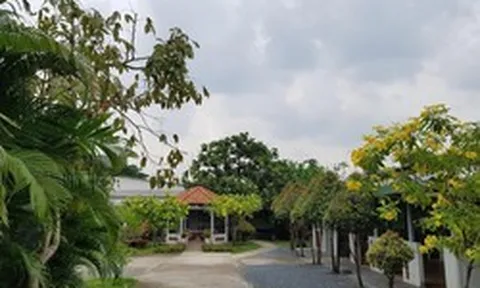 Việt Nam đã có "nhà dưỡng lão" nhận chăm sóc miễn phí hơn 200 người cao tuổi đến cuối đời: Khuôn viên viện rộng 1200m2, bao quanh nhiều hoa và cây xanh