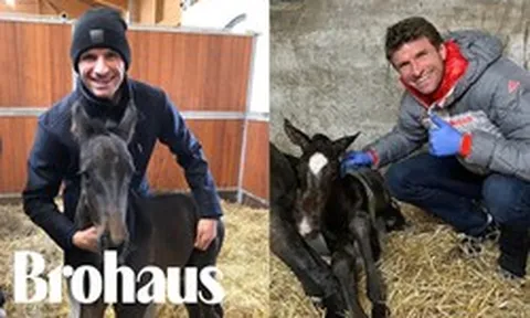 Trang trại ngựa thu nhập hàng triệu Euro của Thomas Muller ở quê