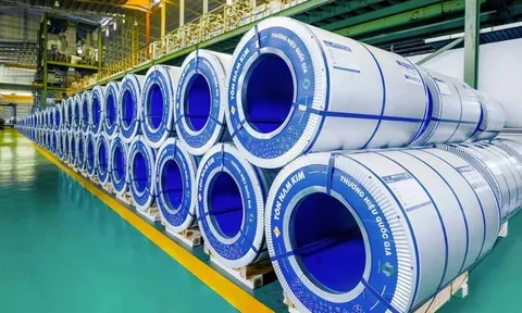 Phó Chủ tịch thường trực HĐQT Thép Nam Kim từ nhiệm