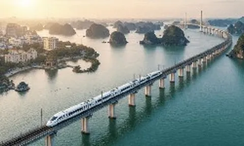 Không chỉ làm siêu đường sắt tốc độ 350km/h, tỷ phú Phạm Nhật Vượng còn cho xây 9 cầu vượt sông, 11 cầu cạn, dự kiến 2028 người Việt đi từ VEC tới Hạ Long chỉ mất 23 phút