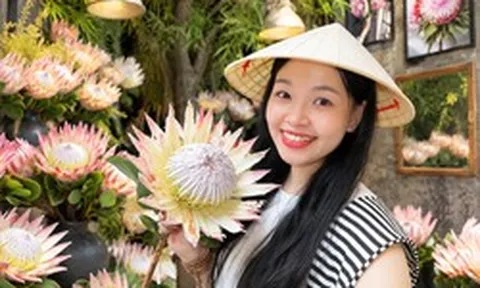 "Thảo đường hoàng đế" là hoa gì mà giá tới 1,5 triệu đồng/bông, khiến giới trẻ rần rần xếp hàng check-in?