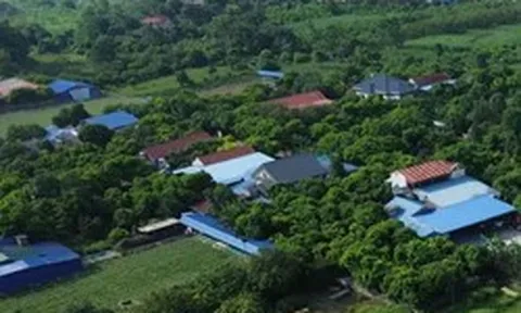 Loạt dự án tại Thái Nguyên xin chấm dứt hoạt động