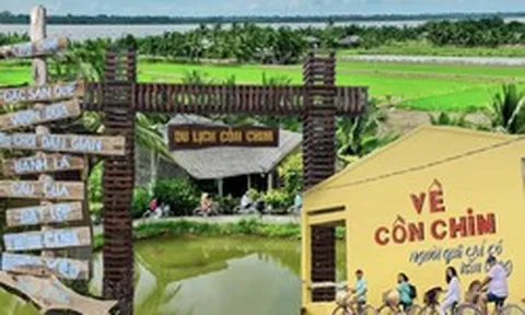 Cồn Chim Trà Vinh đông khách chưa từng có sau “hiệu ứng Phương Mỹ Chi”, người dân dậy từ 3 giờ sáng chuẩn bị đón khách