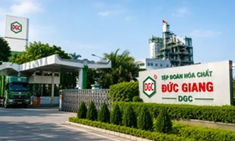Cổ phiếu DGC có nhiều biến động trước ngày chốt quyền nhận cổ tức 80%