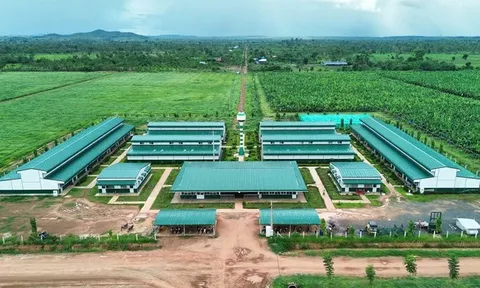 Thaco Agri của tỷ phú Trần Bá Dương được định giá gần 21.000 tỷ đồng