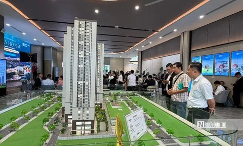 Doanh nghiệp, cá nhân môi giới bất động sản "thanh lọc và chuyên nghiệp hóa"