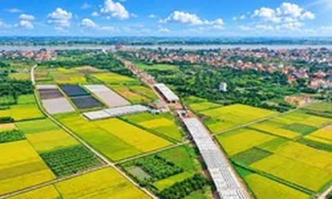 Cầu Vân Phúc vươn nhịp nối Hà Nội - Phú Thọ