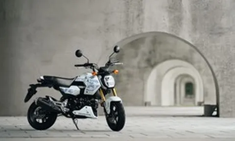 Honda MSX GROM 2027 tung bản rằn ri độc lạ khiến dân chơi xe côn tay tí hon phát sốt