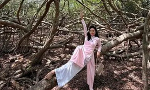 Nữ diễn viên quê Tiền Giang tiêu chục tỷ đồng mở khu sinh thái 50.000m2 dù chồng đại gia can ngăn
