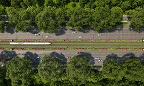 Việt Nam sắp có trục giao thông 10 làn kết hợp LRT dài gần 18km trên hòn đảo lớn nhất cả nước