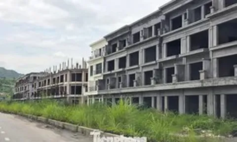 Hơn 1.000 nhà đầu tư chờ sổ đỏ tại dự án FLC ở Quảng Ninh
