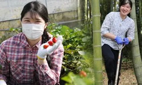Hình ảnh cũ của Công chúa Aiko bị "đào lại"