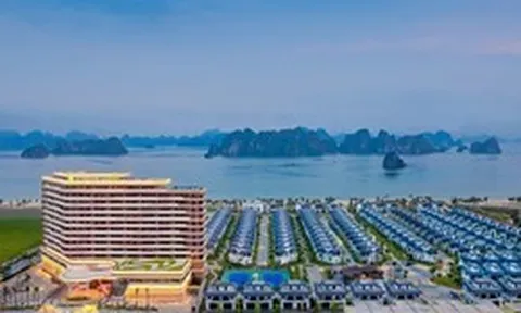 CEO Group lập thêm một công ty con