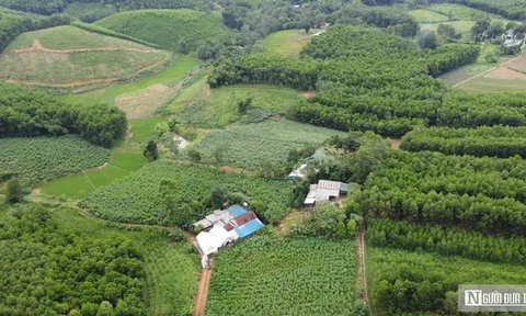 Gỡ khó GPMB, tạo quỹ đất sạch cho nhà đầu tư các cụm công nghiệp ở Thanh Hóa