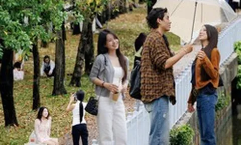 Dậy từ 5 giờ sáng ra kênh Nhiêu Lộc - Thị Nghè săn lá vàng, giới trẻ TP.HCM đang tận hưởng "mùa thu" vô cùng hiếm có