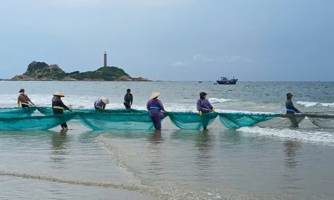 Lâm Đồng: Kết nối biển, sinh kế và du lịch để tạo động lực phát triển mới
