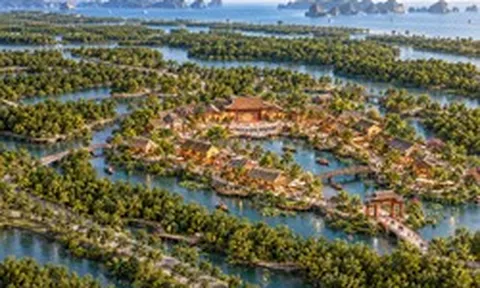 Ông Phạm Nhật Vượng tiếp tục cho xây ngôi làng đặc biệt trên đảo mang tên "Thượng lưu Xanh": Rộng 18,5 ha, nằm trong đại dự án 456.639 tỷ đồng, mô hình tương tự ở Hàn Quốc, Nhật Bản
