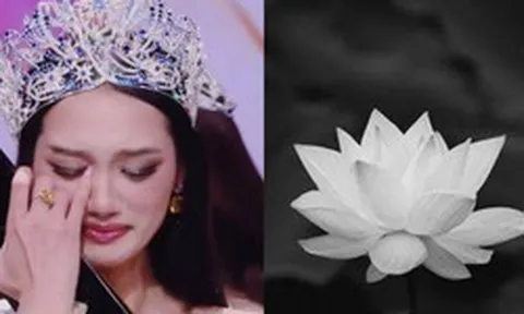 Nguyễn Quỳnh Anh - Miss Universe Vietnam 2026 vừa đăng quang đã về quê chịu tang