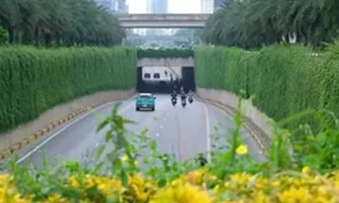 Hà Nội thí điểm phủ xanh trụ cầu đường sắt, hầm chui và nhà chờ xe buýt
