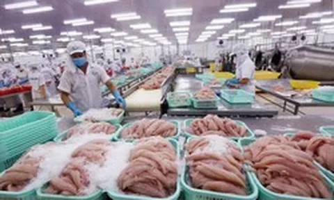 VASEP: Cùng một loại tôm, cá, mực nhưng có nơi miễn thuế, có nơi áp dụng thuế 8% hoặc 10%