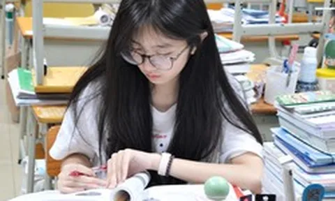 Phát hiện nữ sinh 13 tuổi không biết code, nghĩ ra một thứ cho chính mình rồi kiếm 65 triệu đồng trong 3 ngày