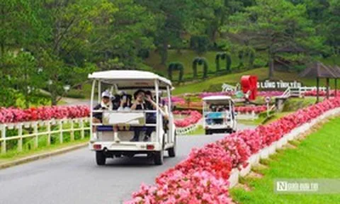 Lâm Đồng tăng trưởng GRDP 8,51%, kỳ vọng Festival Hoa tạo cú hích cuối năm