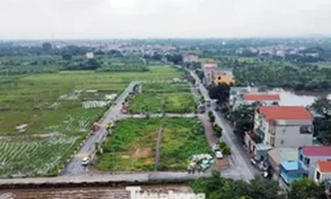 Quy định thế nào là đất bỏ hoang, bị đánh thuế?